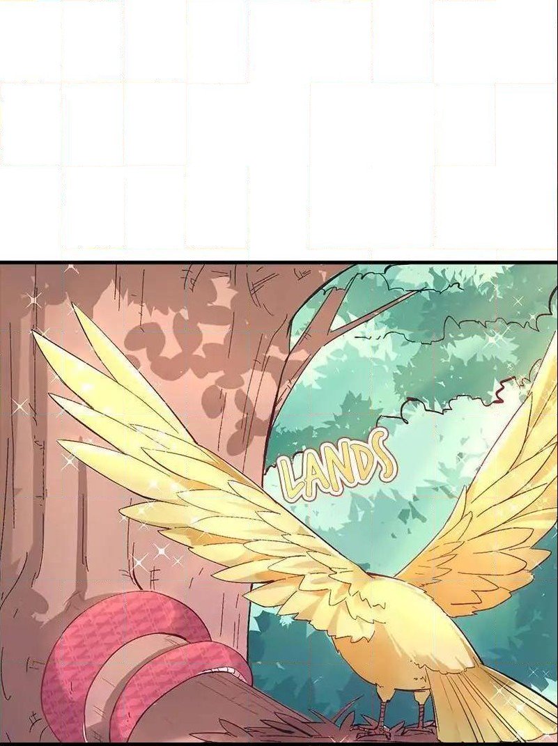 Page 1 of Chapter 63