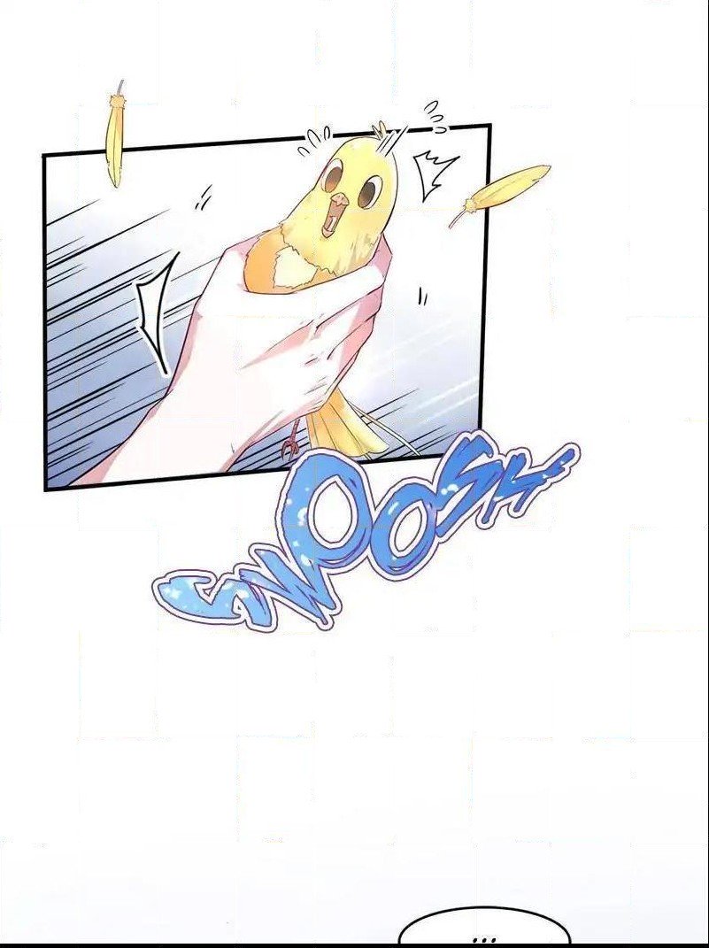 Page 5 of Chapter 63