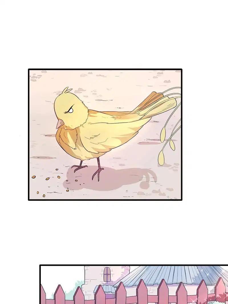 Page 23 of Chapter 63