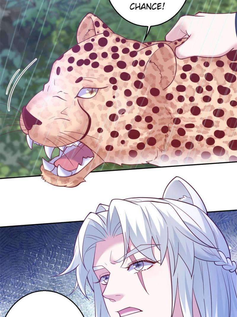 Page 36 of Chapter 641