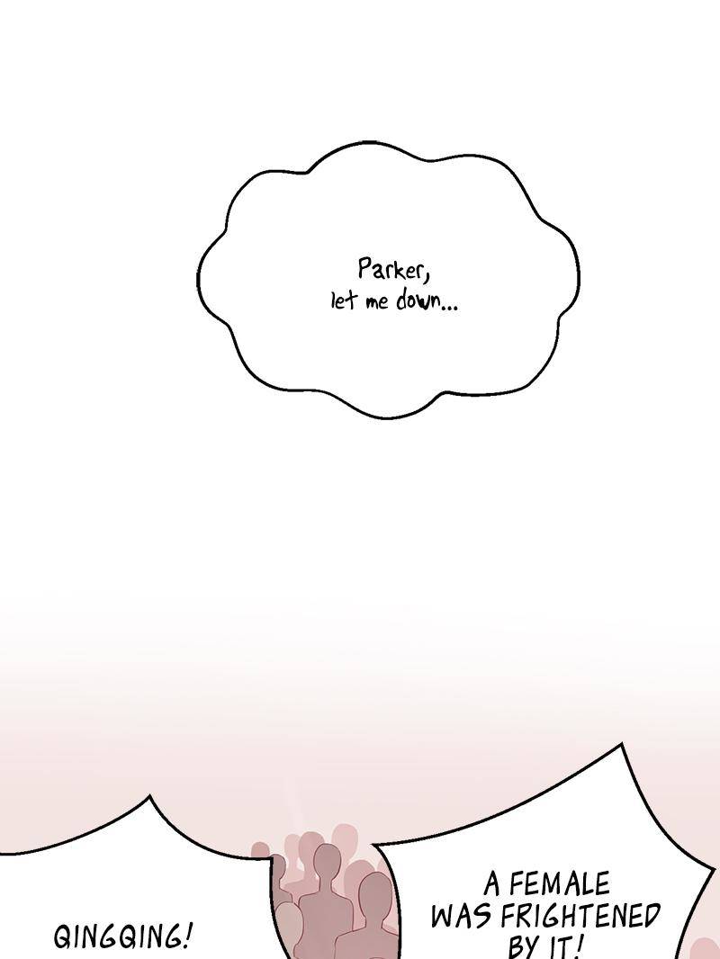 Page 21 of Chapter 65