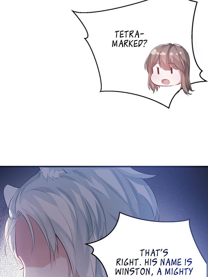 Page 29 of Chapter 65