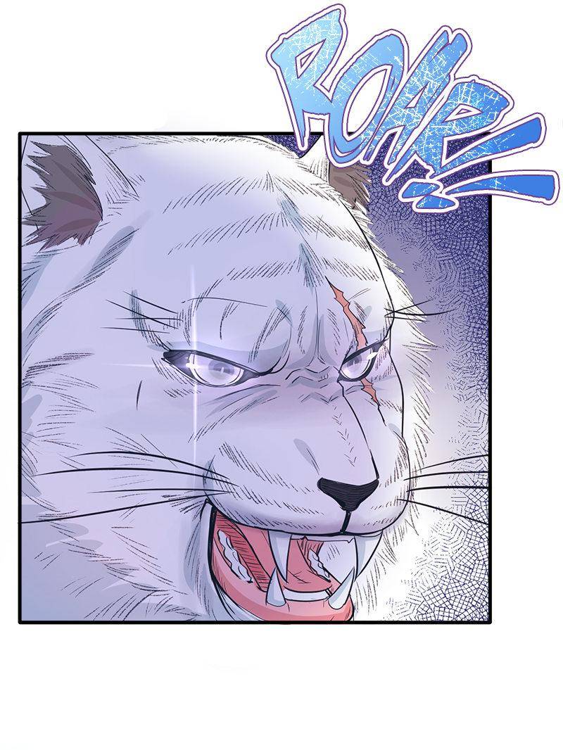 Page 11 of Chapter 66