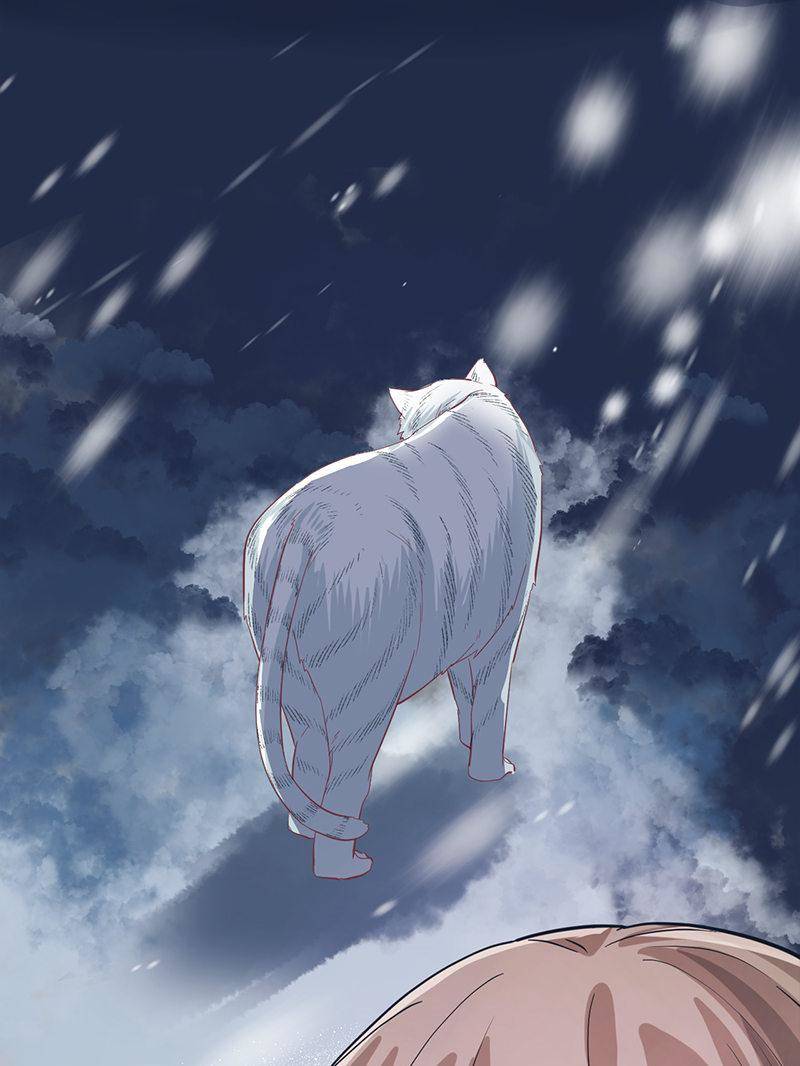 Page 41 of Chapter 66