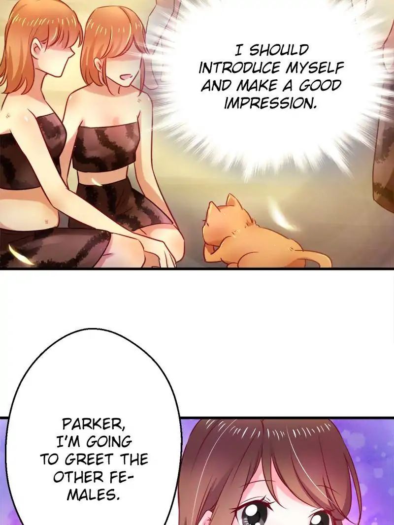Page 5 of Chapter 7