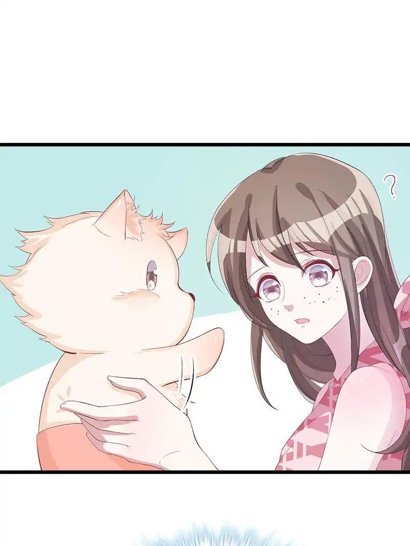 Page 8 of Chapter 71