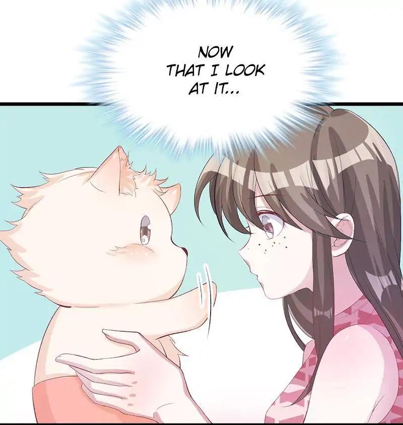 Page 9 of Chapter 71