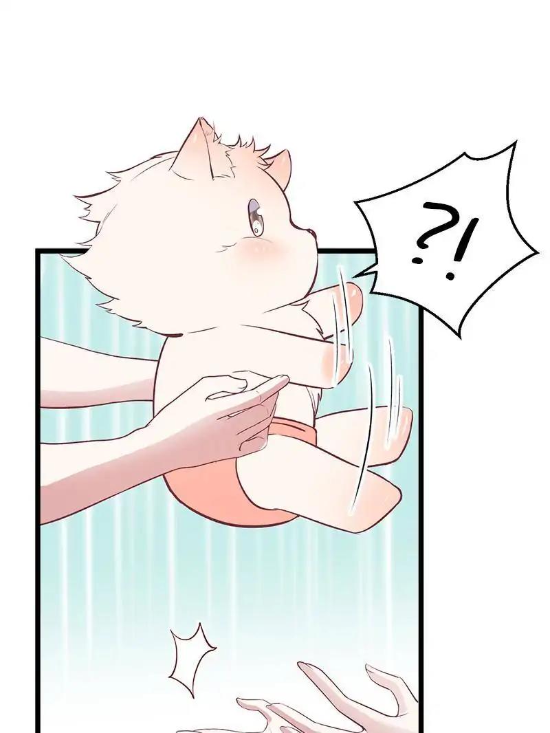 Page 12 of Chapter 71
