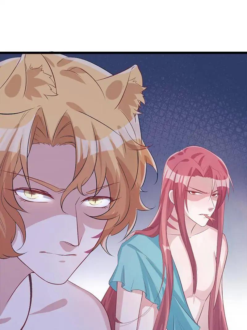 Page 19 of Chapter 71