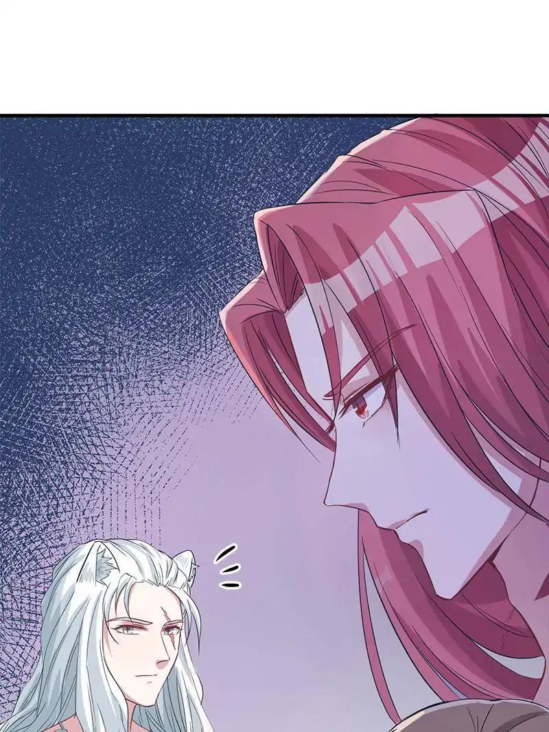 Page 13 of Chapter 74