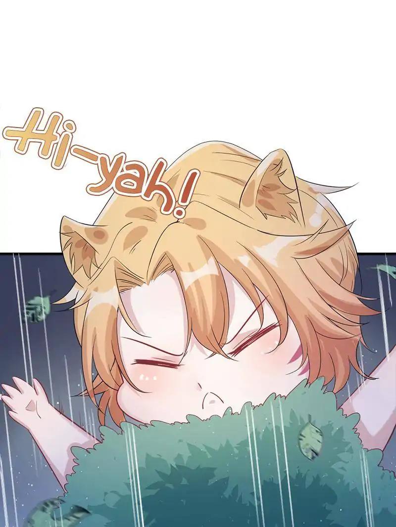Page 27 of Chapter 74