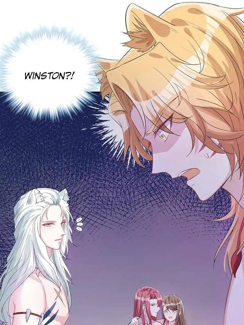 Page 33 of Chapter 74