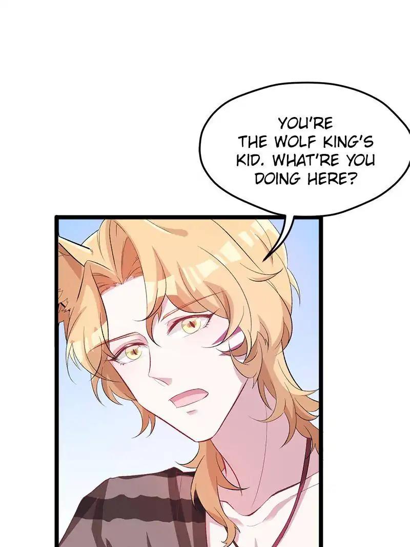 Page 19 of Chapter 75