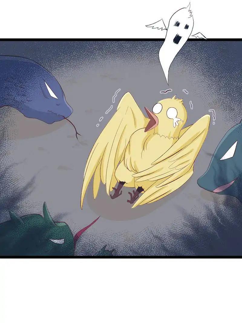 Page 40 of Chapter 77