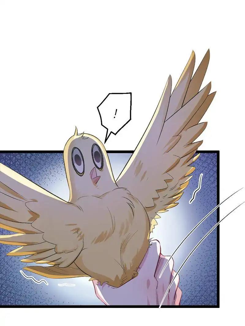 Page 4 of Chapter 78