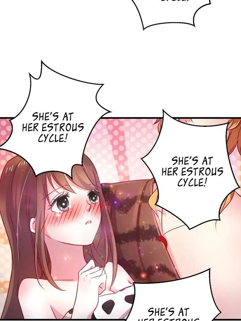Page 19 of Chapter 8