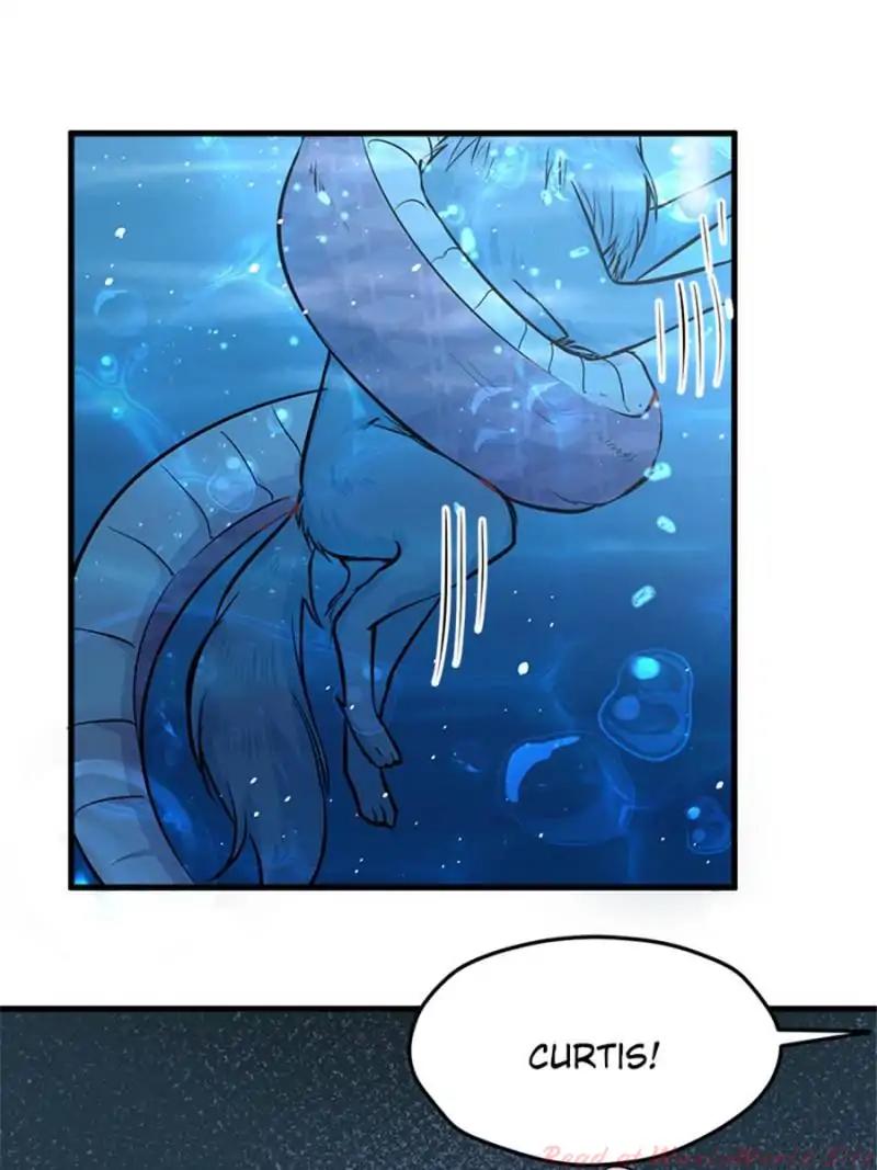 Page 4 of Chapter 85