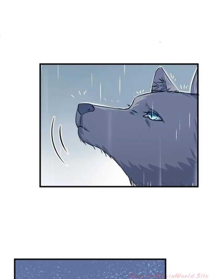 Page 17 of Chapter 85