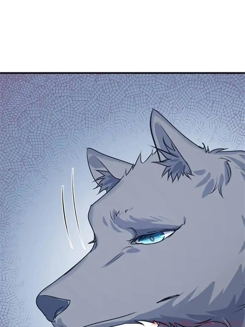 Page 19 of Chapter 85