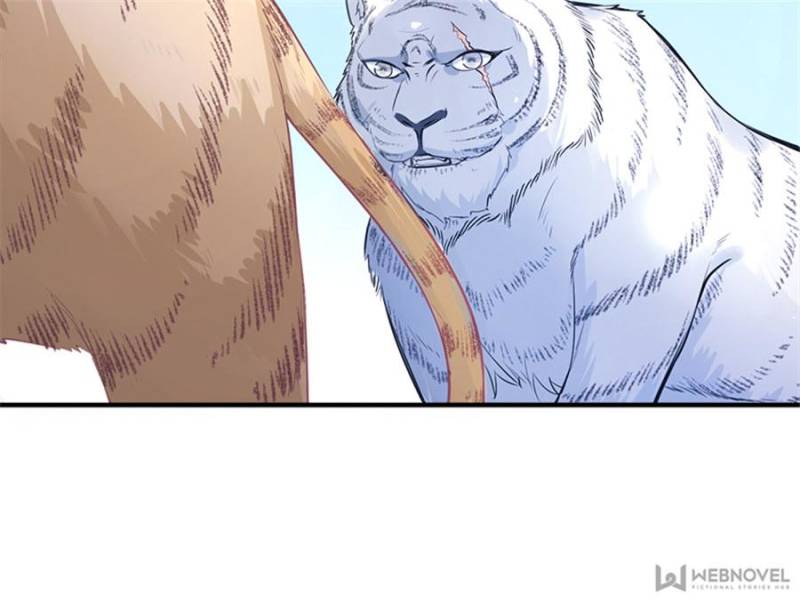 Page 62 of Chapter 91