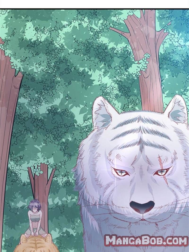 Page 55 of Chapter 94