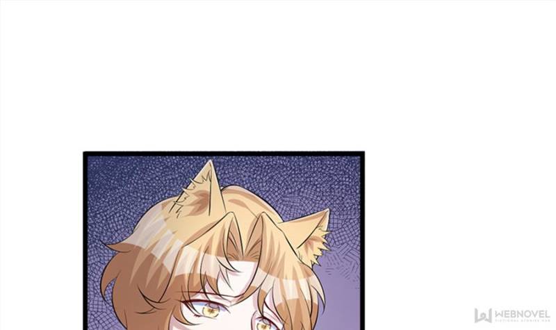 Page 41 of Chapter 95