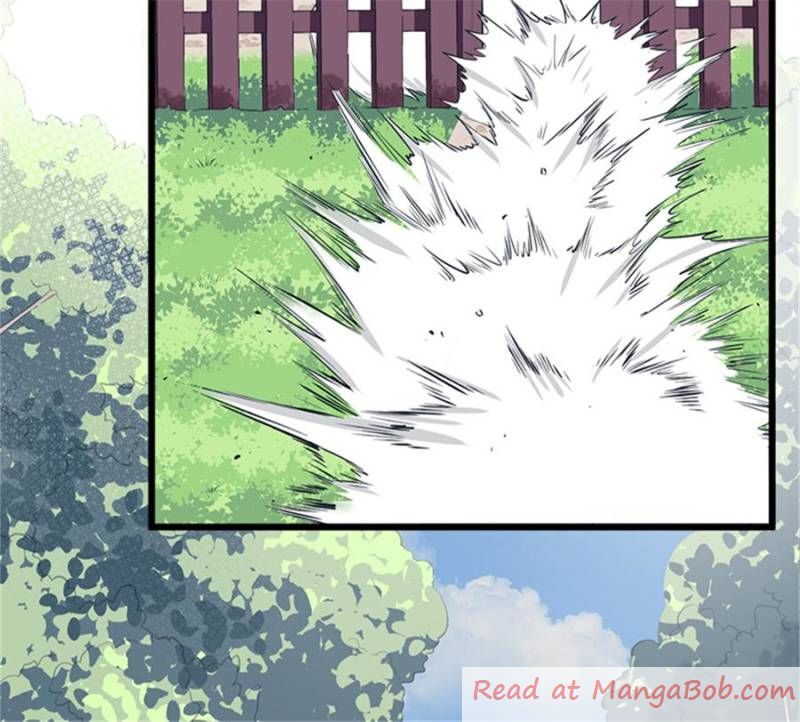 Page 19 of Chapter 98