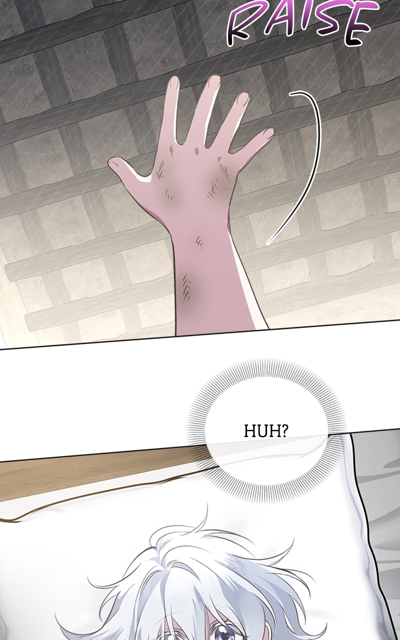 Page 65 of Chapter 1