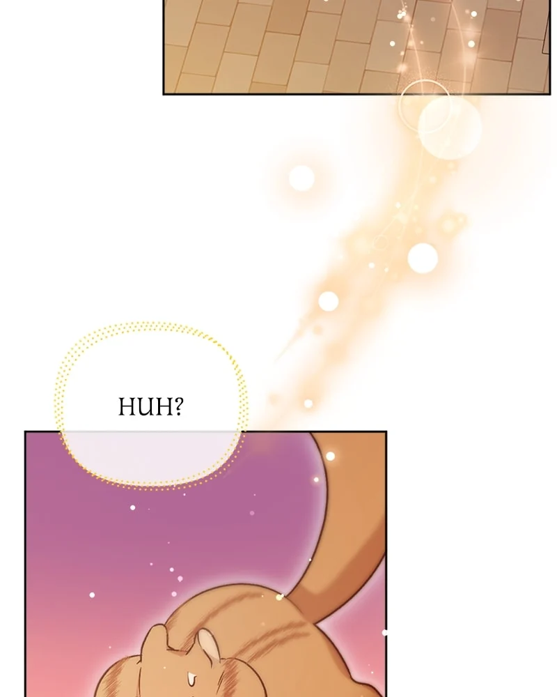 Page 100 of Chapter 11