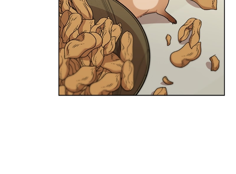 Page 26 of Chapter 11