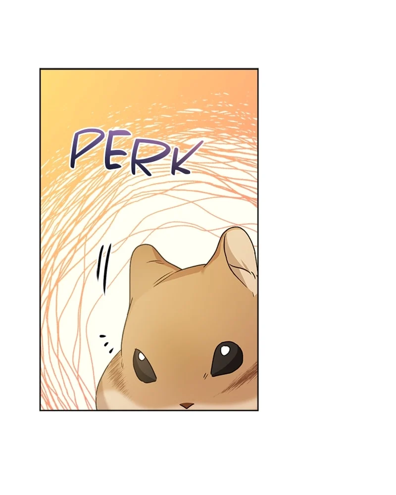 Page 73 of Chapter 11