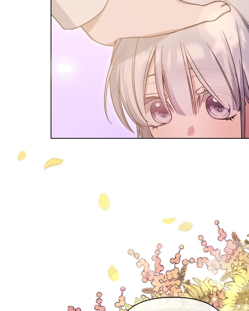Page 113 of Chapter 13