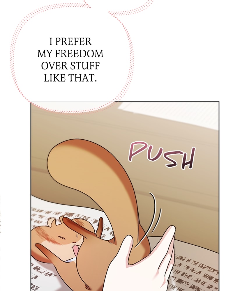 Page 85 of Chapter 13
