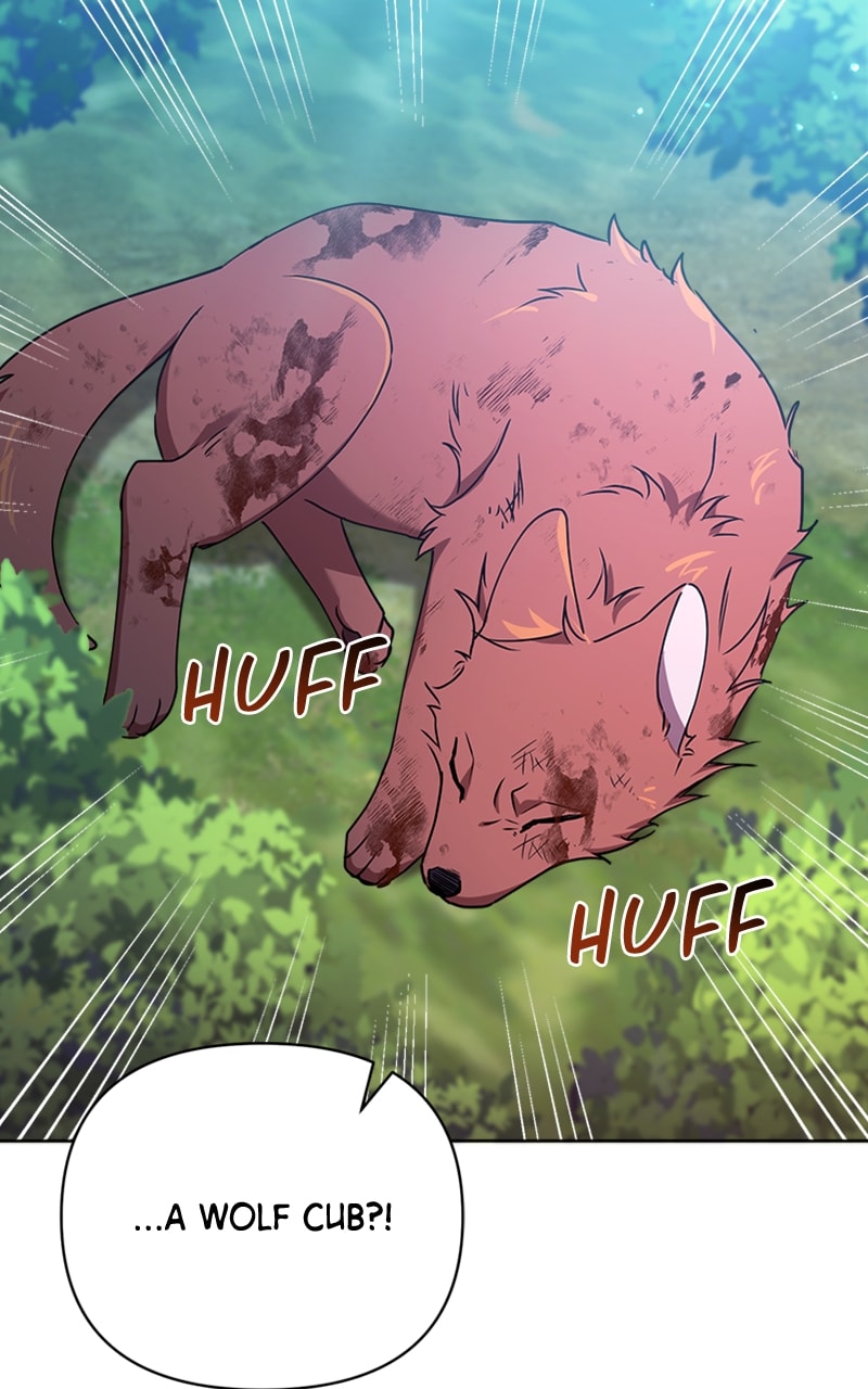 Page 17 of Chapter 17