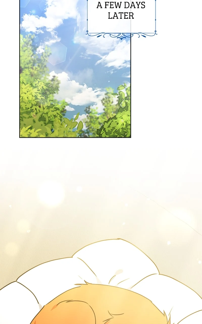 Page 47 of Chapter 17