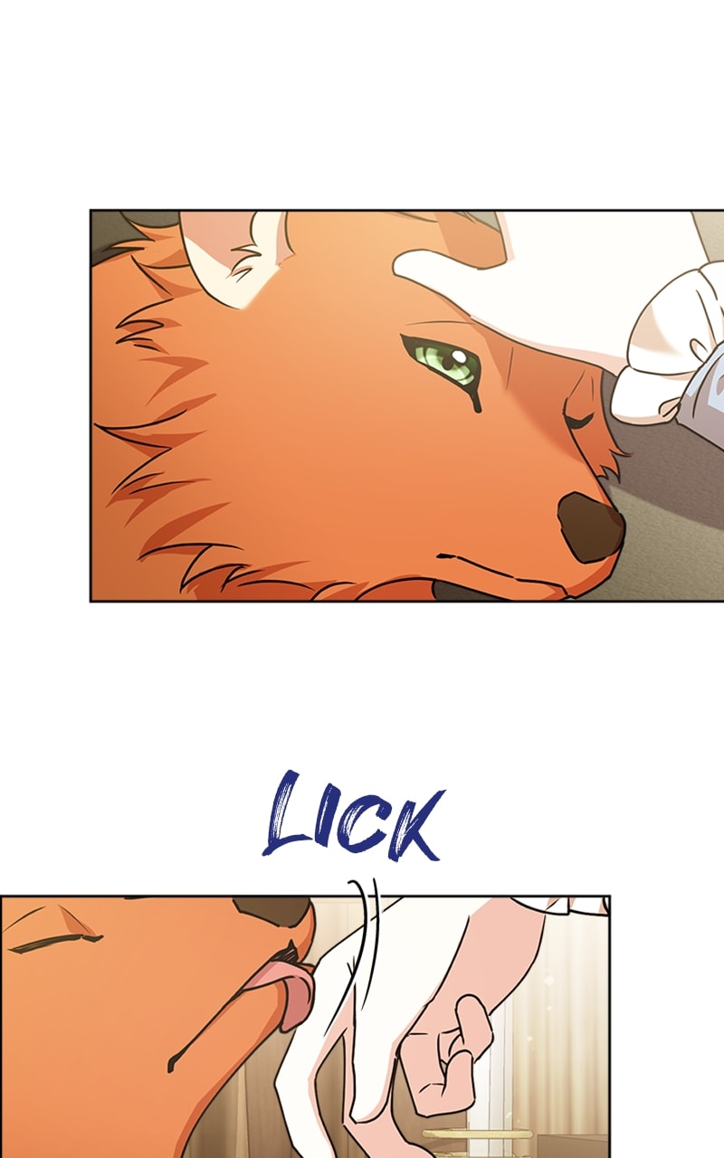 Page 52 of Chapter 17