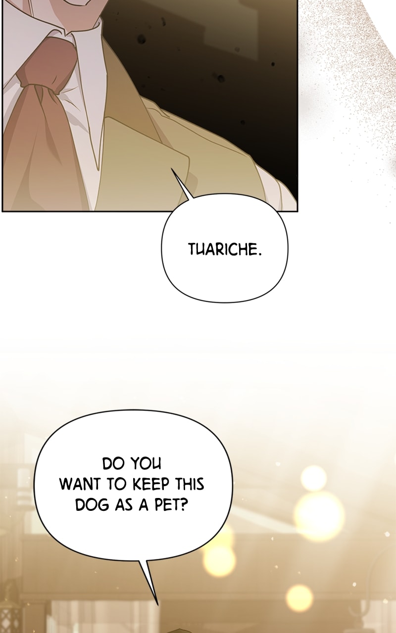 Page 62 of Chapter 17
