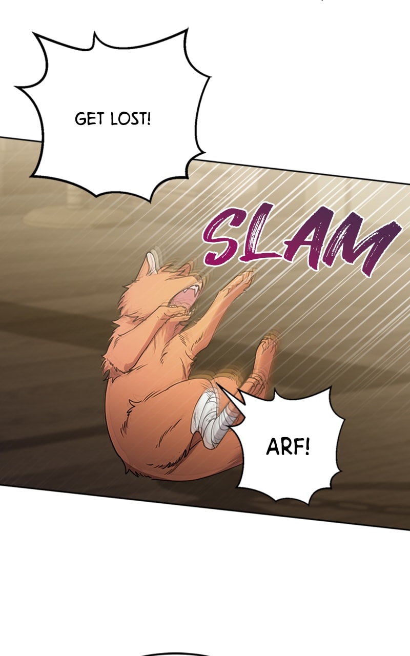 Page 13 of Chapter 19
