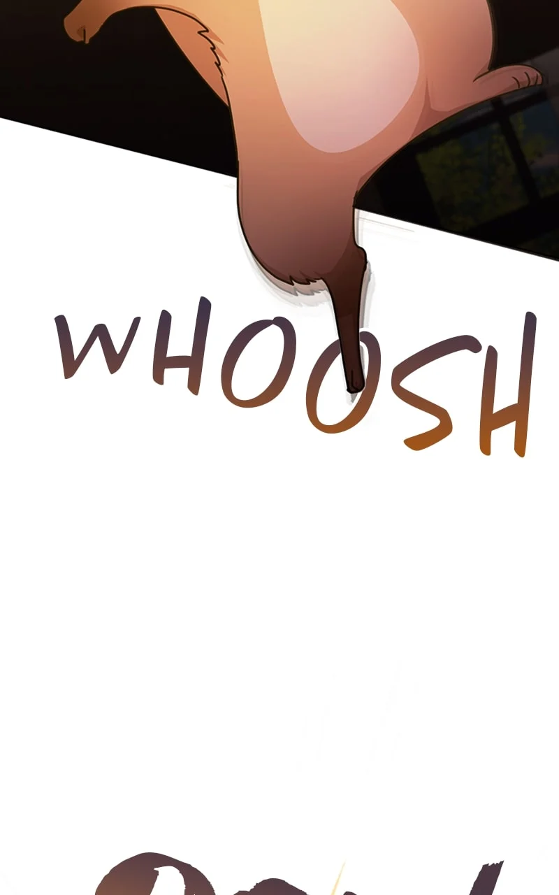 Page 17 of Chapter 19