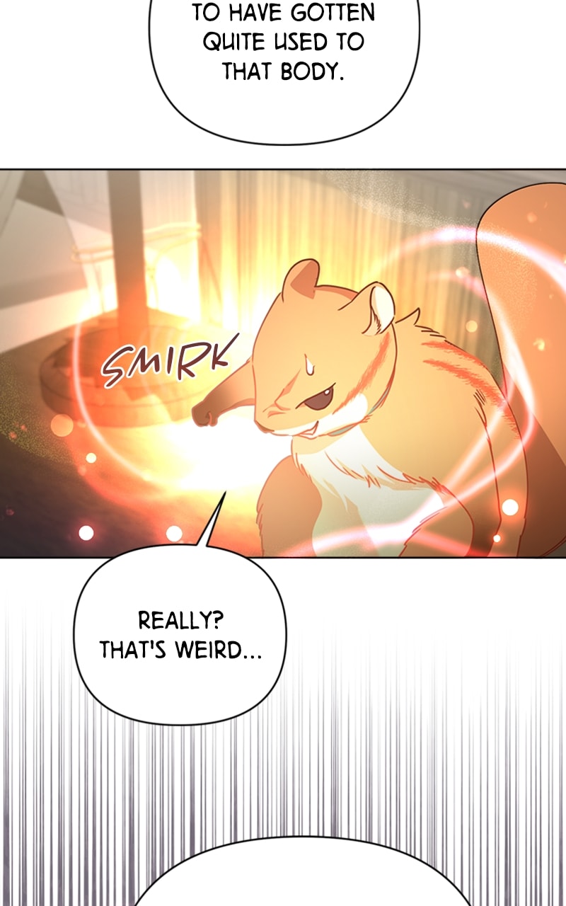 Page 40 of Chapter 19