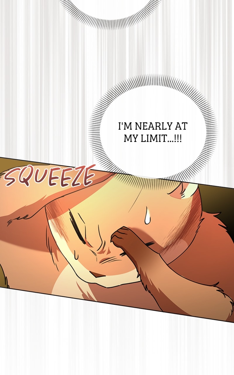 Page 47 of Chapter 19