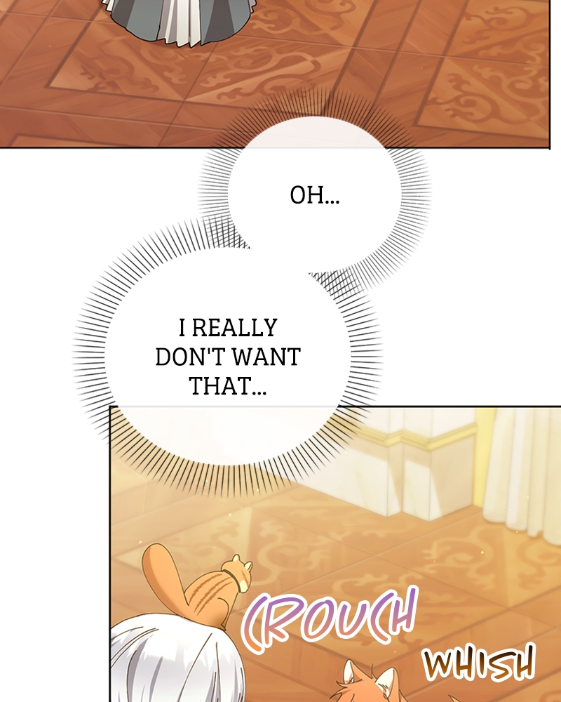 Page 13 of Chapter 22