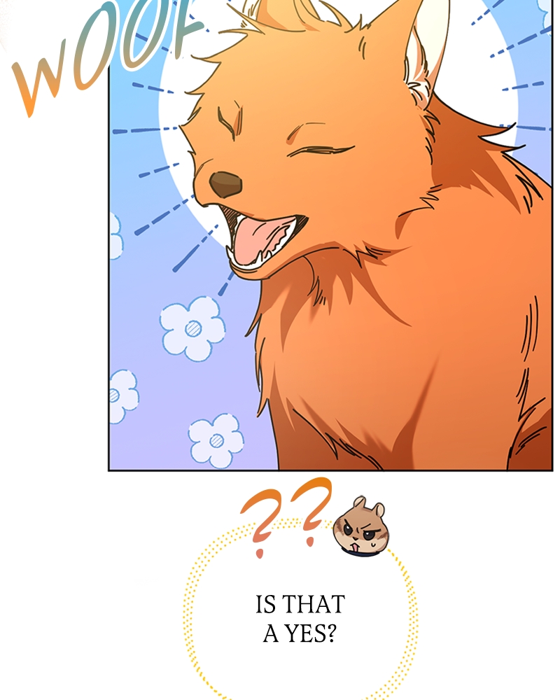 Page 17 of Chapter 22