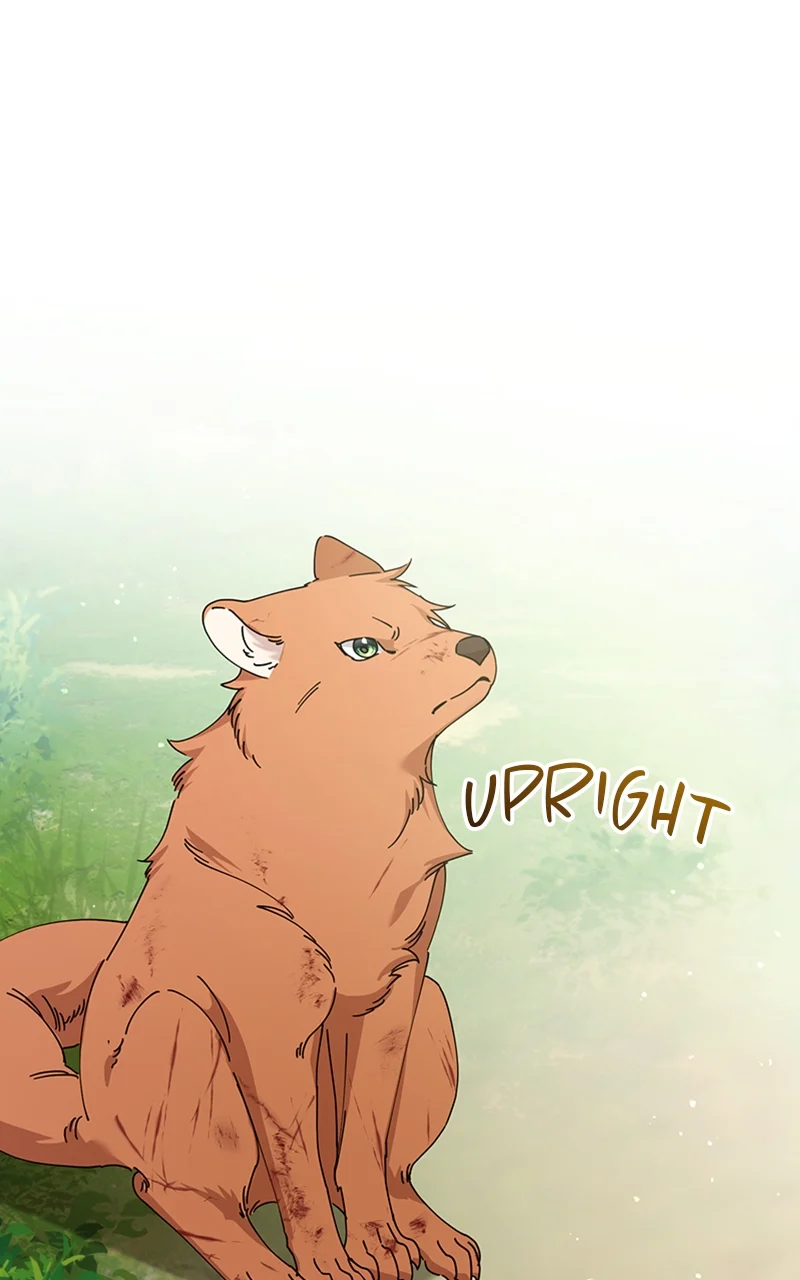 Page 15 of Chapter 25