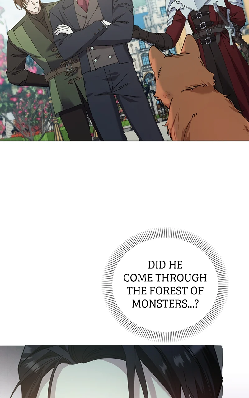 Page 17 of Chapter 25