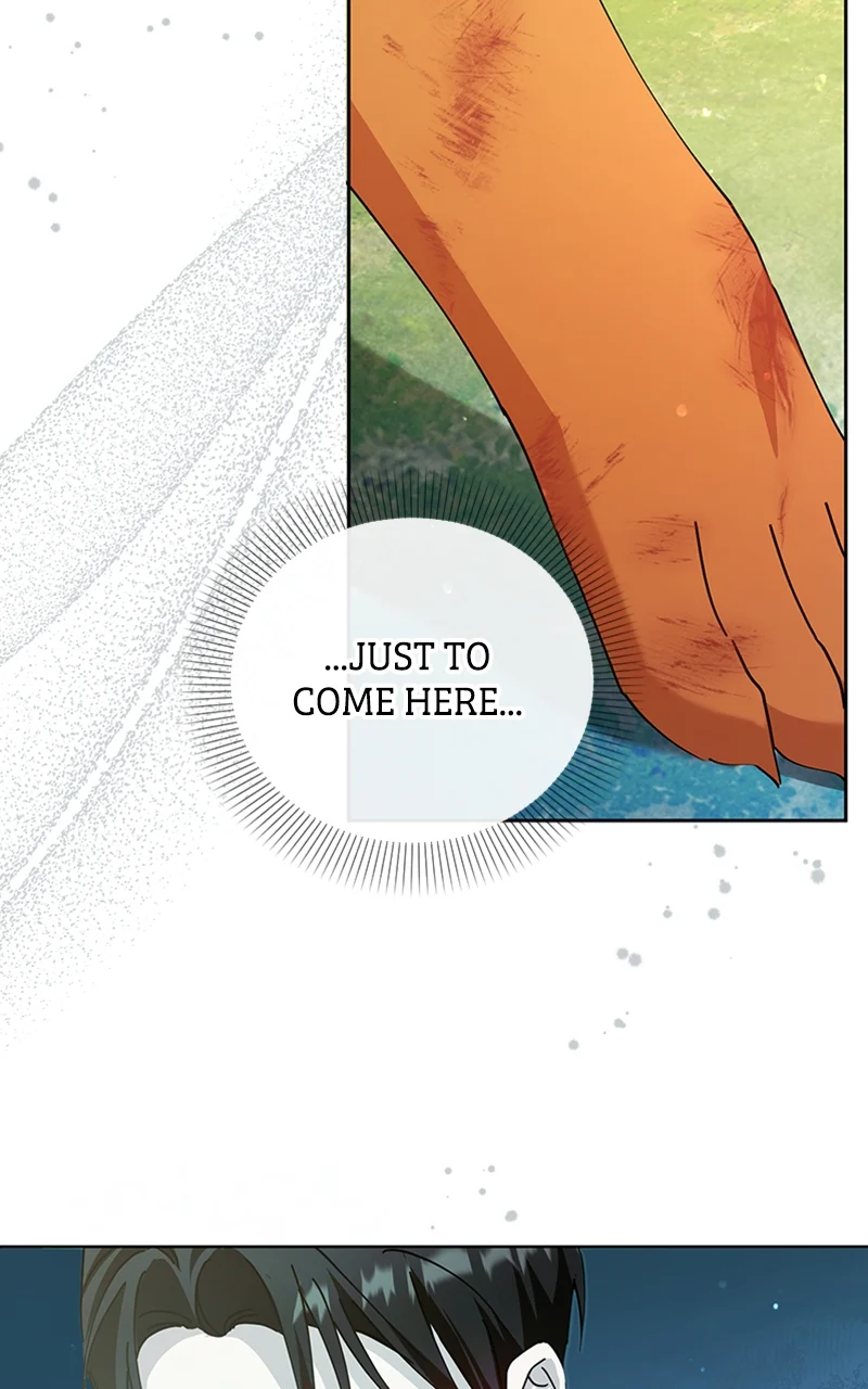 Page 31 of Chapter 25