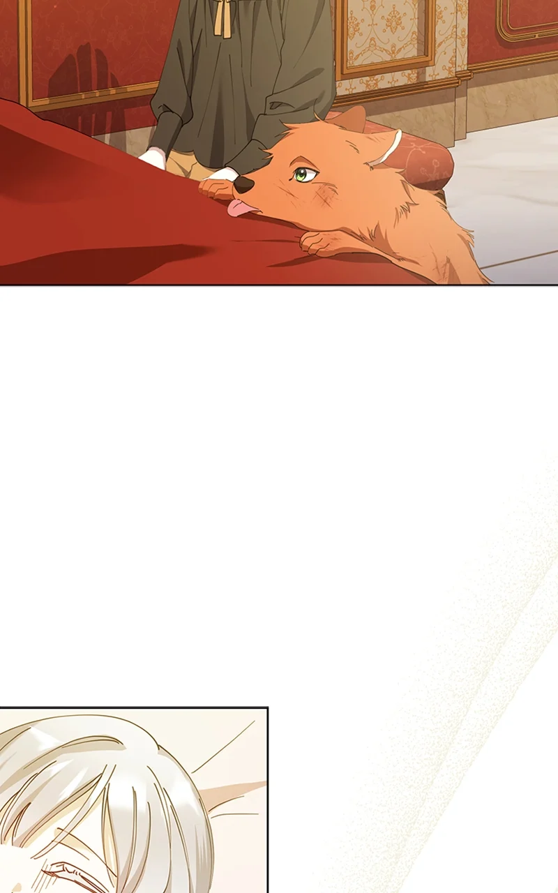 Page 40 of Chapter 25