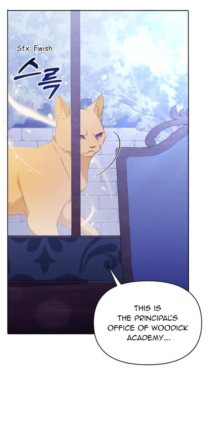 Page 53 of Chapter 56