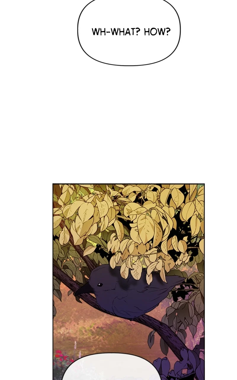 Page 15 of Chapter 6