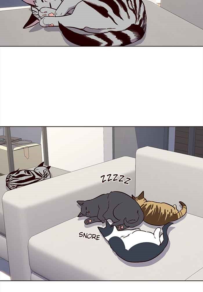 Page 38 of Chapter 23
